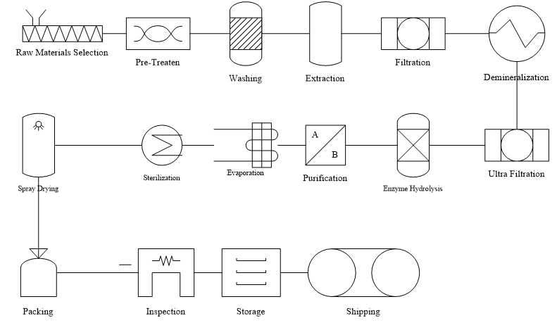 Collagen Production Process.png